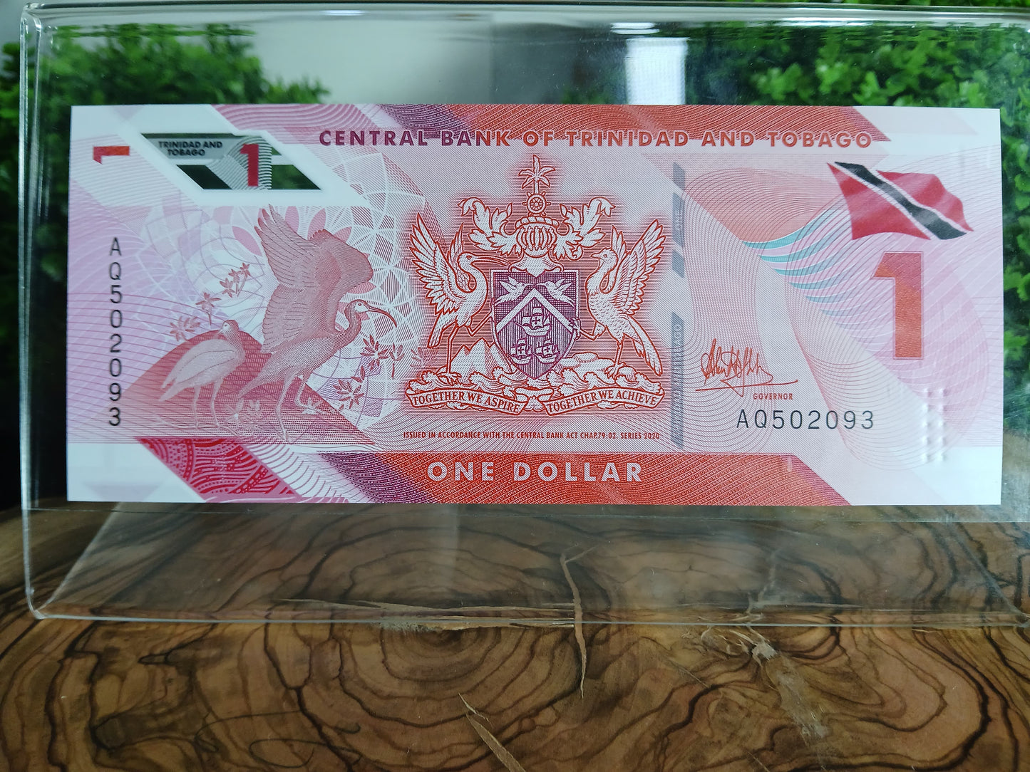 Banknote of Trinidad and tobago 🇹🇹