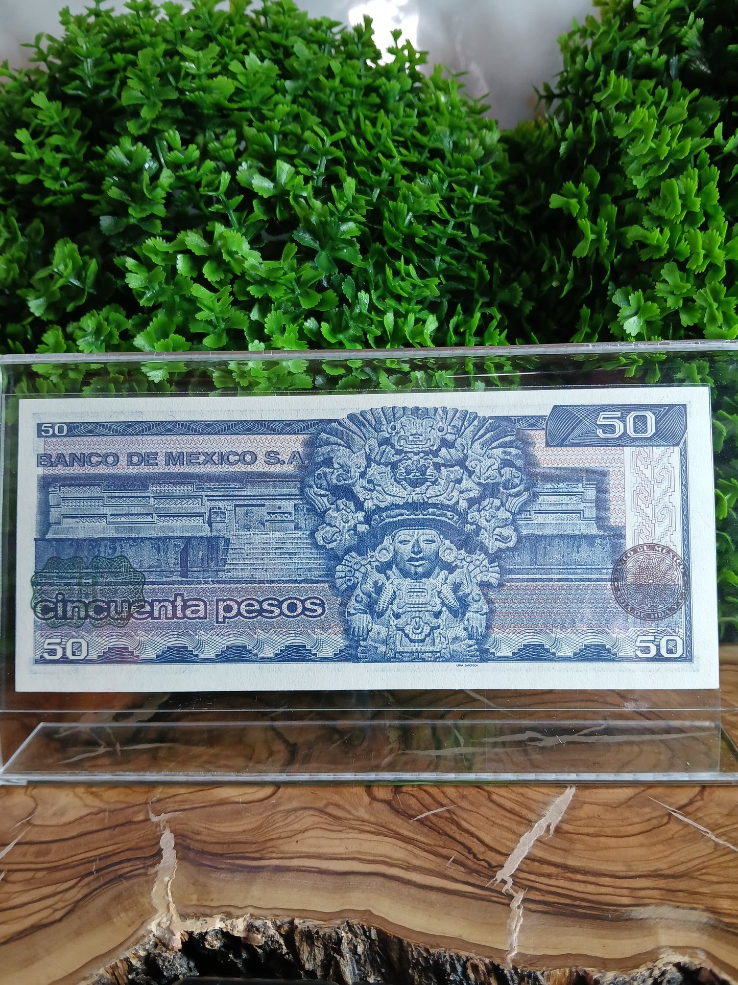 Banknote of Mexico 🇲🇽